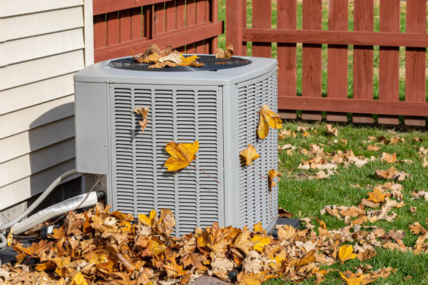 Best HVAC Air Duct Cleaning  in Auburn, IN